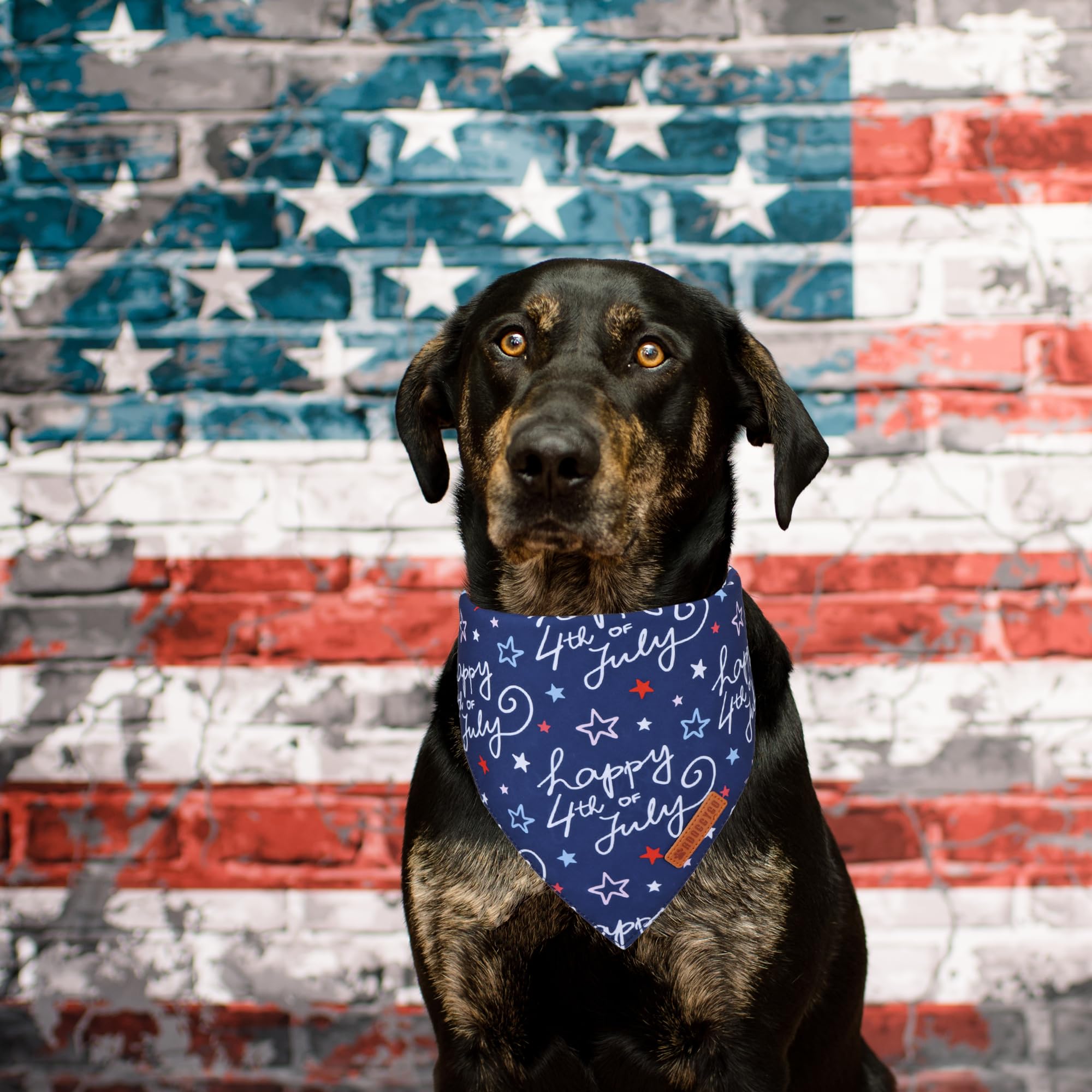 ADOGGYGO Halloween Dog Bandana