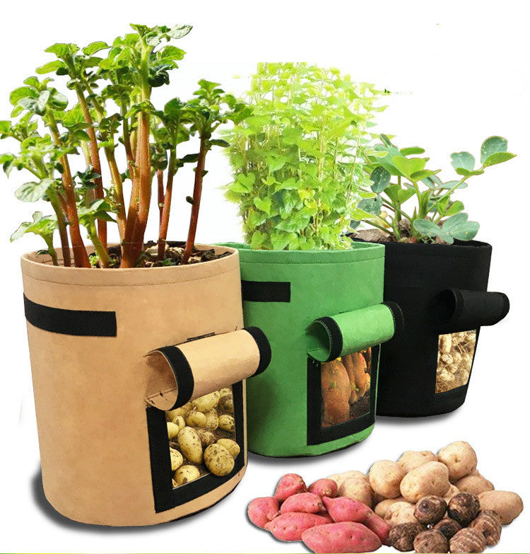 Garden Accessories